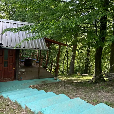 Forest House Ninokristali Appartement *