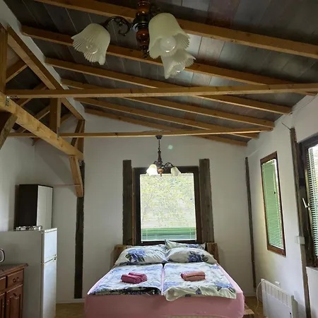 Forest House Ninokristali *