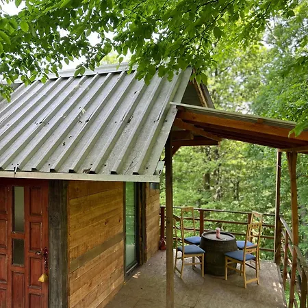 Forest House Ninokristali Appartement *
